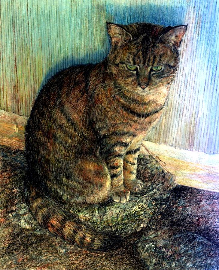 Tabby Cat Portrait #1 Drawing by Olde Time  Mercantile