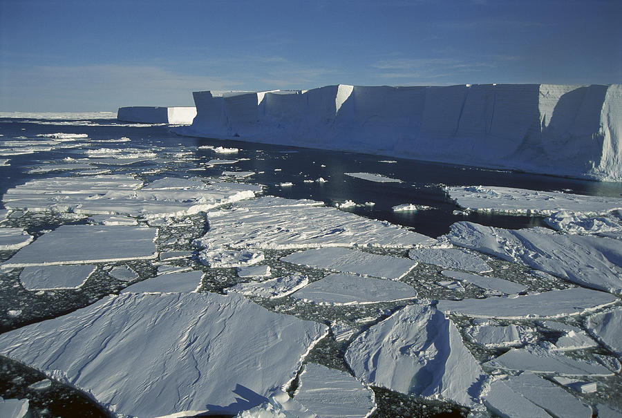 Tabular Iceberg With Broken Fast Ice #1 Photograph by Tui De Roy