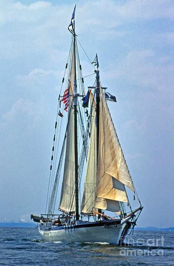 Tall Ship Harvey Gamage #1 Photograph by Skip Willits