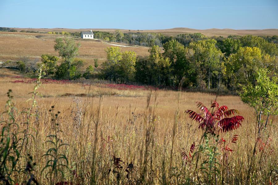 Tallgrass Prairie #1 Photograph by Jim West