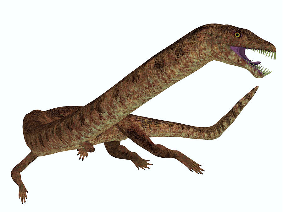 tanystropheus dinosaur