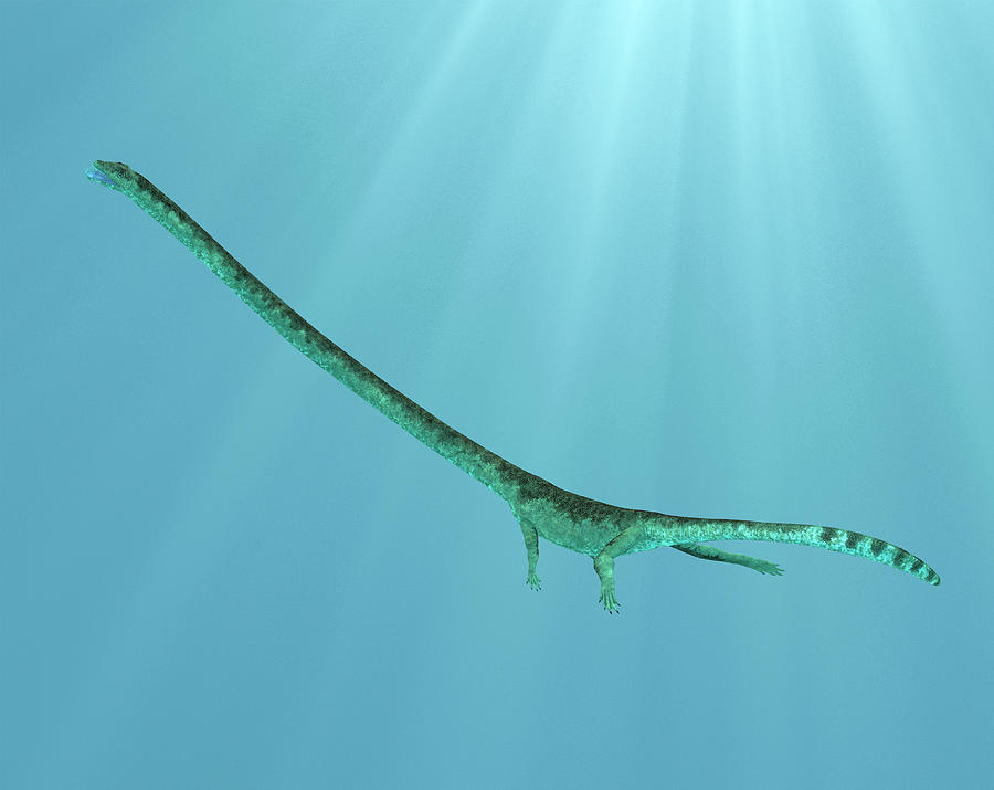 prehistoric marine reptiles