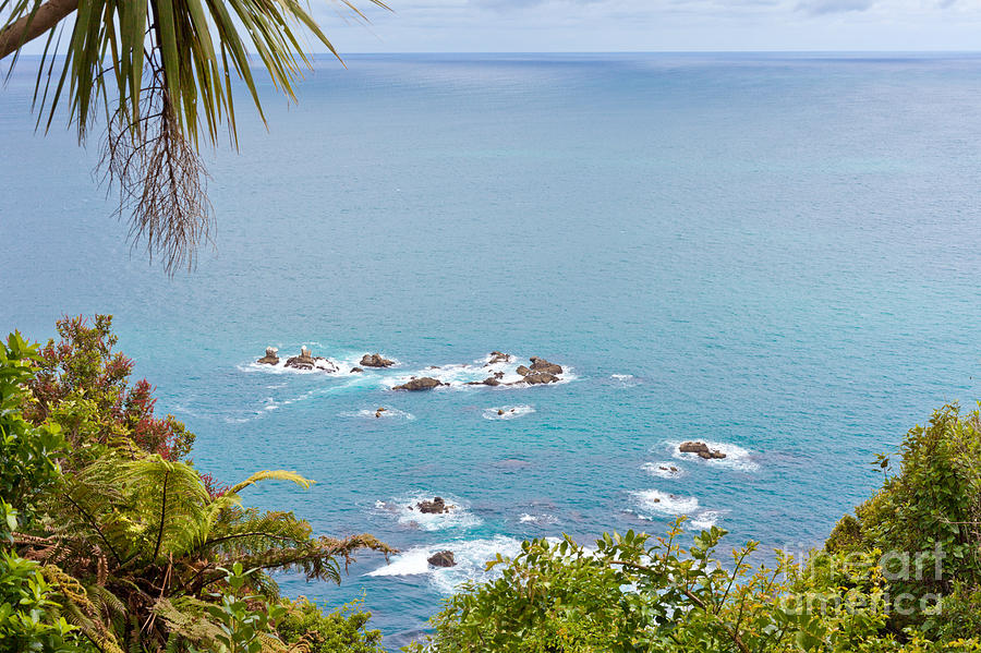 Tasman Sea at West Coast of South Island of New Zealand Photograph by ...