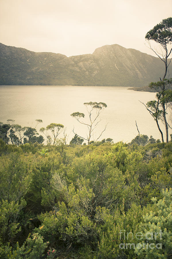 Tasmania mountain range landscape of Dove Lake #1 Photograph by Jorgo Photography