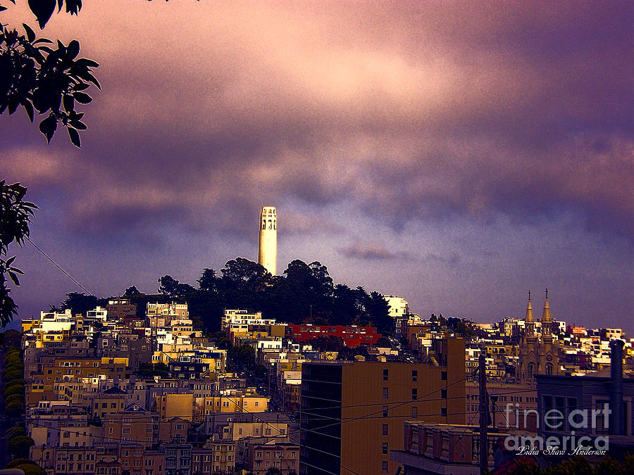 Telegraph hill Photograph by Lidia Anderson Pixels