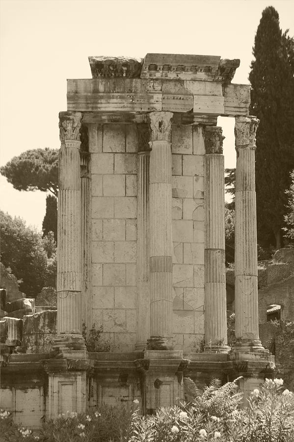 Temple of Vesta #1 Photograph by Ivete Basso Photography