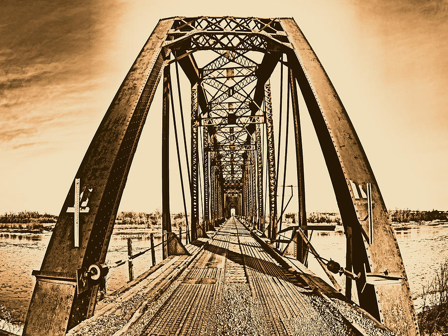 Terry Bridge Photograph by Leland D Howard