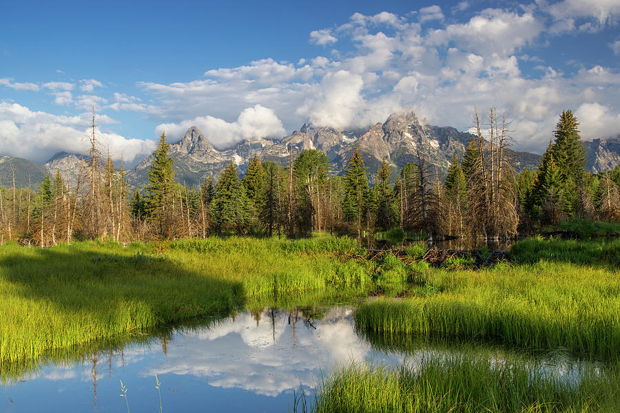 Teton Mountains Reflect In Schwabacher Photograph by Chuck Haney - Fine ...