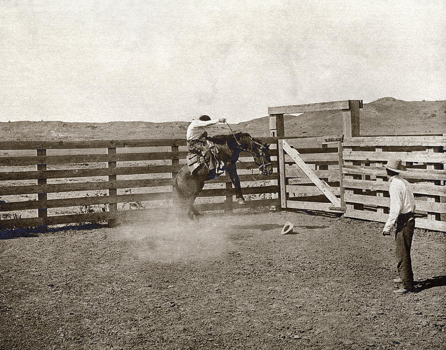 Texas Cowboys, C1907 #1 Photograph by Granger - Fine Art America