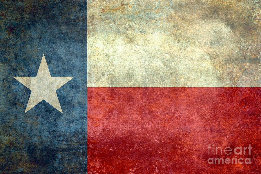 Texan flag of Texas Digital Art by Sterling Gold