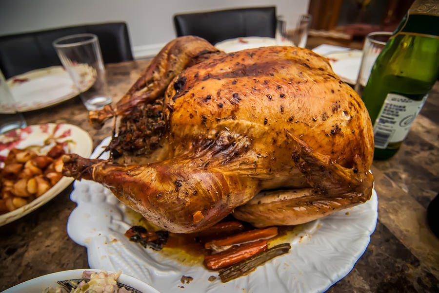 Thanksgiving Turkey Dinner #1 Photograph by Alex Grichenko
