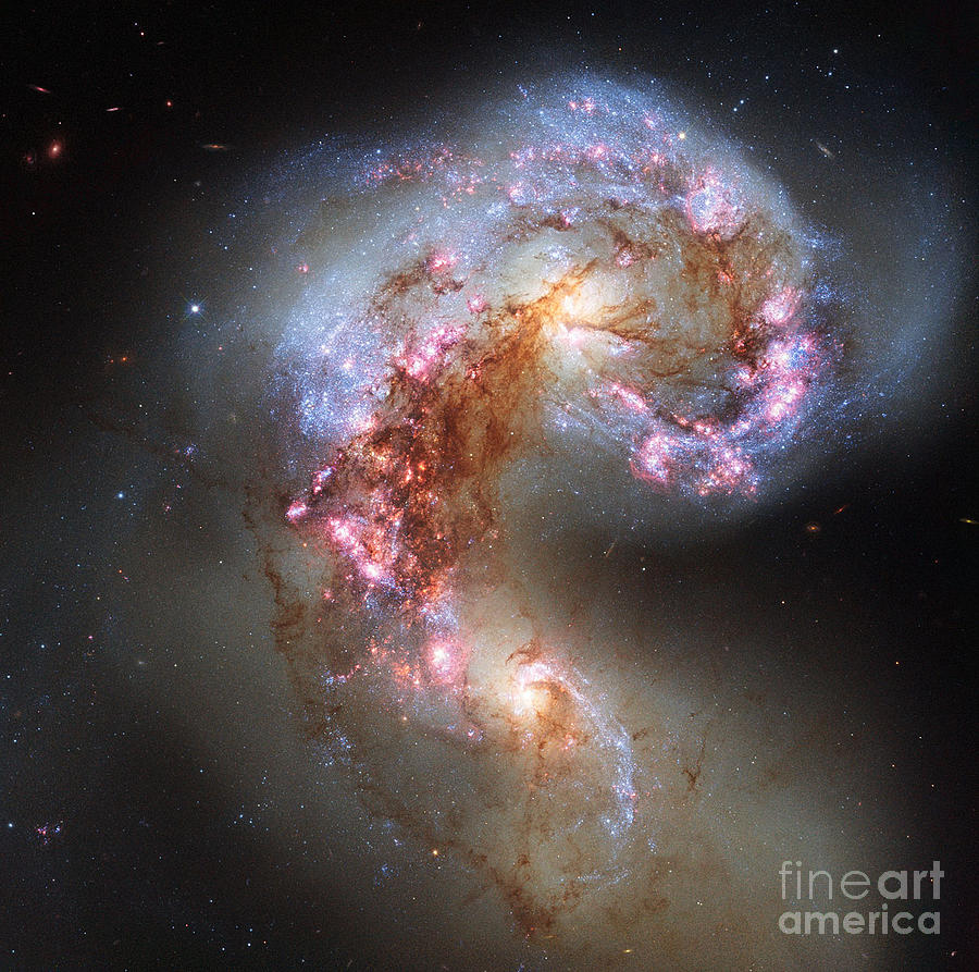 The Antennae Galaxies #2 Photograph by Science Source