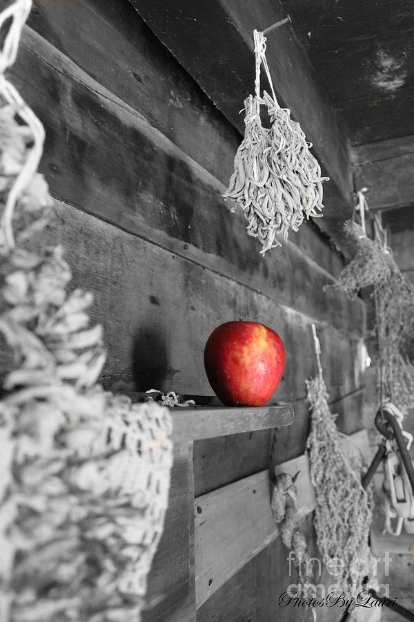 The Apple #1 Photograph by Laurinda Bowling