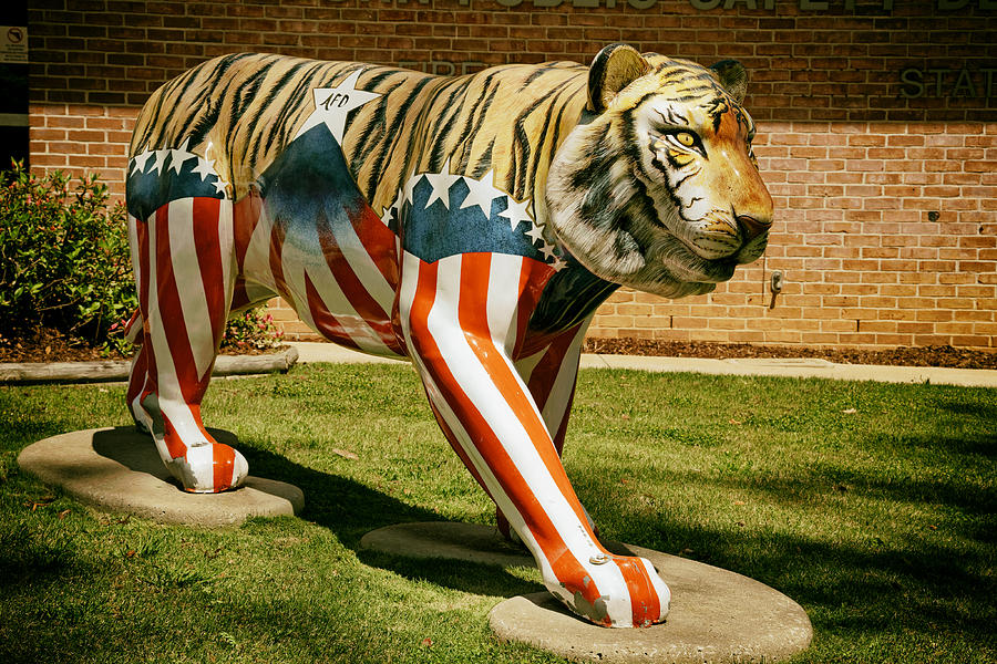 Auburn University Photograph - The Auburn Tiger #2 by Mountain Dreams