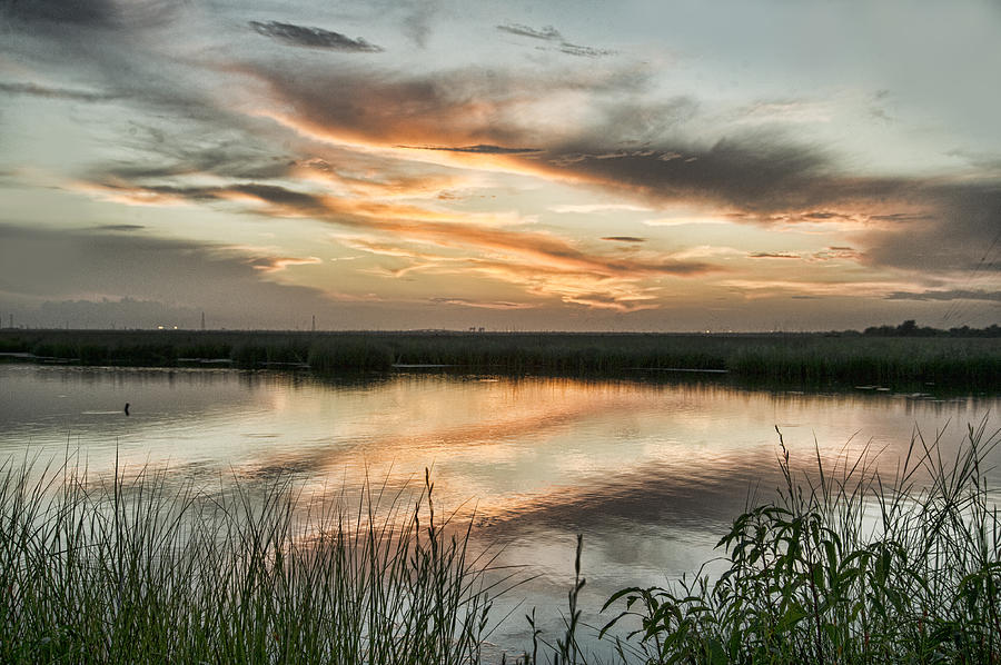 The Bayou Digital Art by Alicia Claire Portraiture - Fine Art America