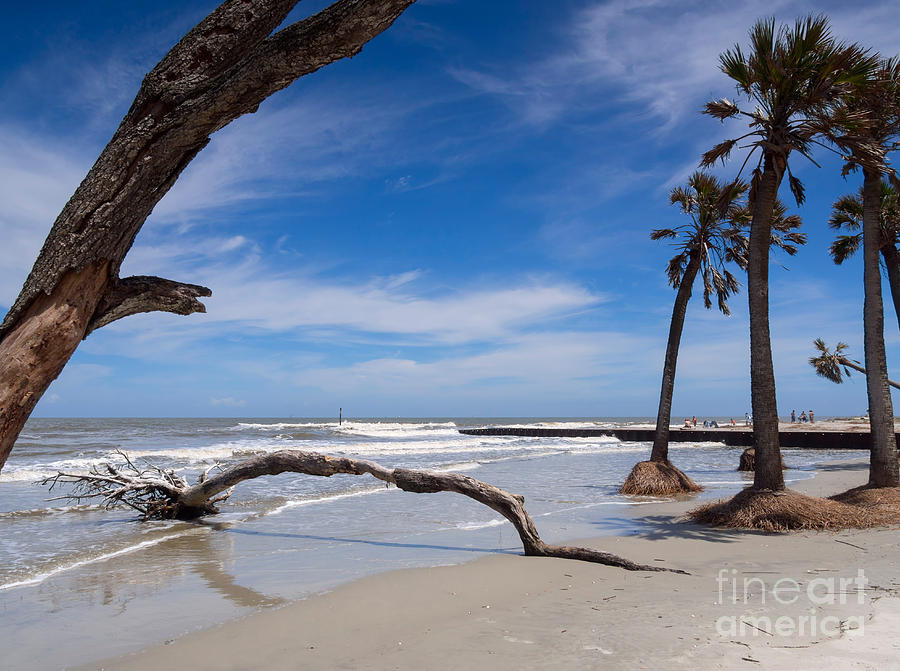 The beach at Hunting Island State Park Photograph by Louise Heusinkveld ...