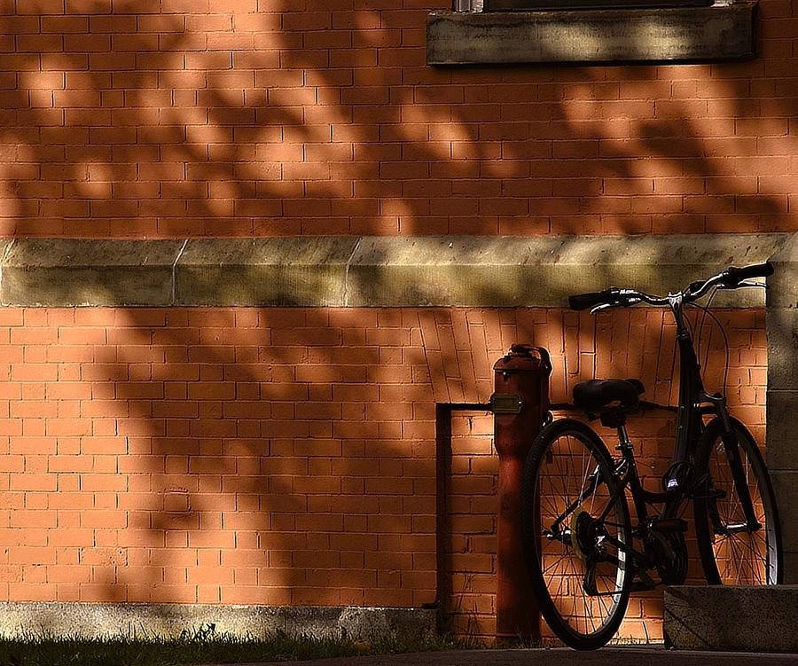 Bowdoin College Photograph - The Bike  by Marysue Ryan