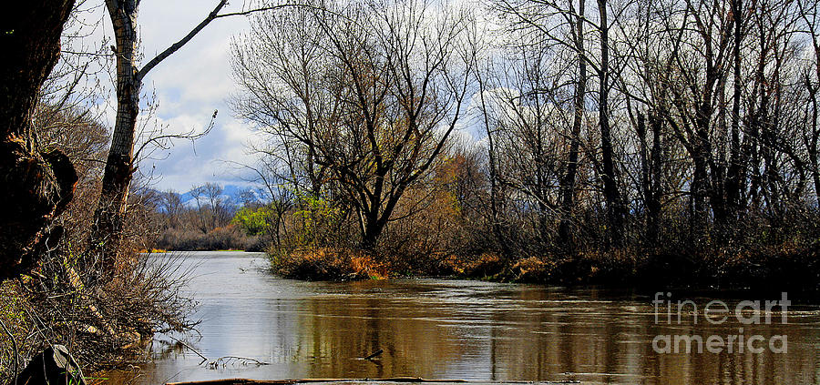 The Boise River Photograph