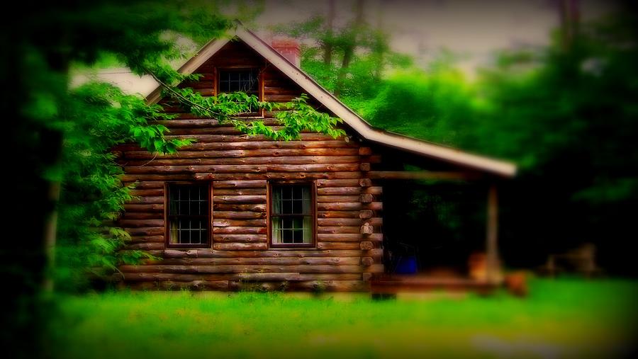 The Rustic Log Cabin  Photograph by Marysue Ryan