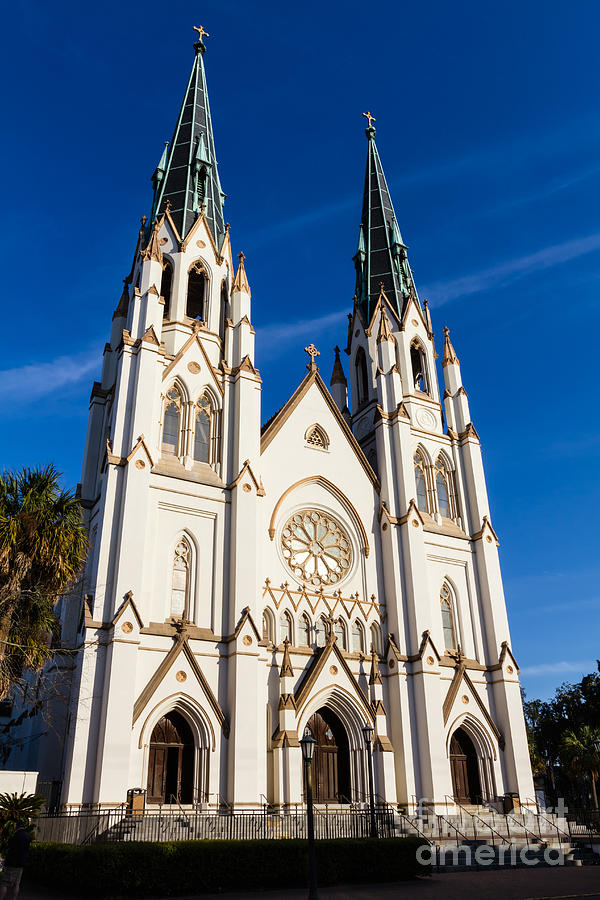 The Cathedral of St. John the Baptist Savannah Georgia Photograph by Dawna Moore Photography