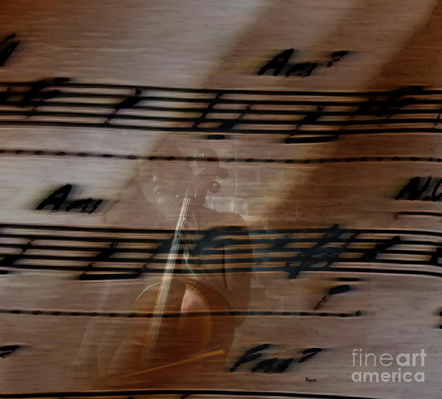 Women Photograph - The celloing by Steven Digman Women Photograph - The celloing by Steven Digman