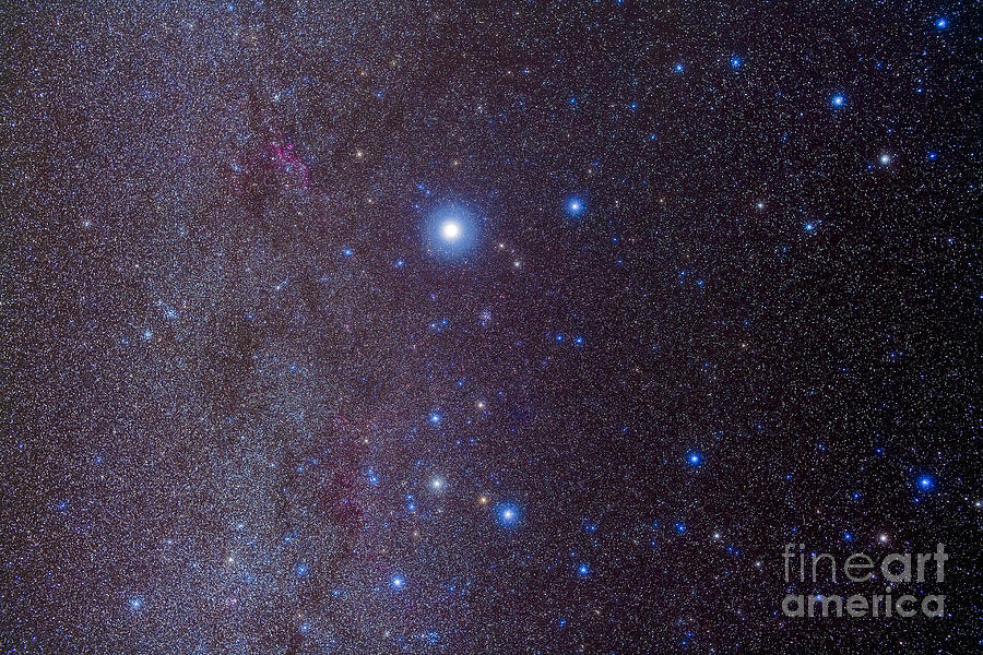 The Constellation Of Canis Major #1 Photograph by Alan Dyer