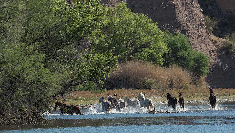 The Crossing Photograph by Sylvia Beardsley Pixels