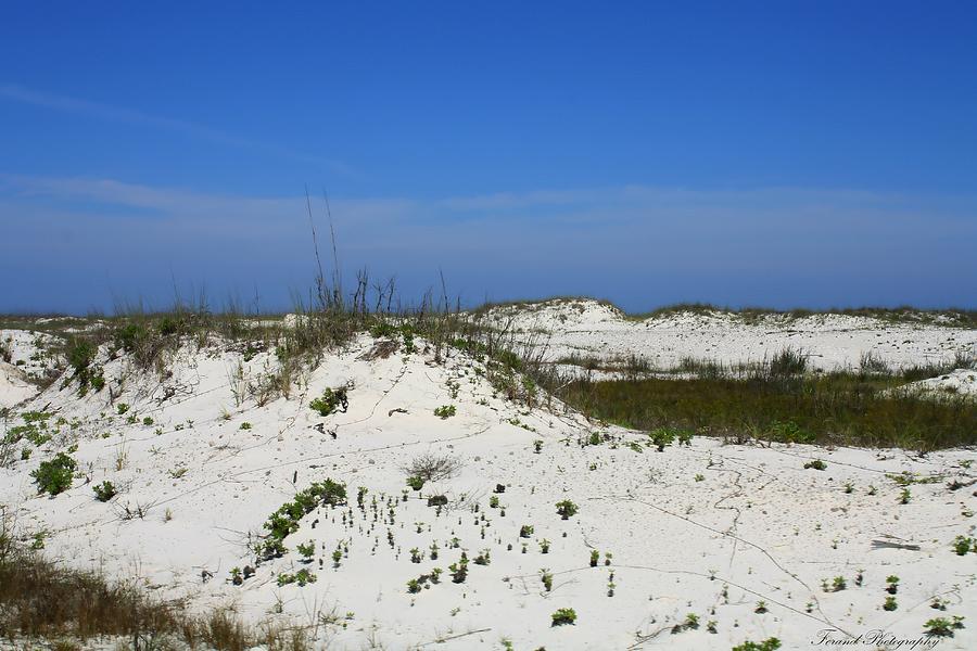 The Dunes Photograph by Debra Forand