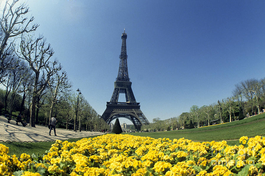 The Eiffel Tower #1 Photograph by Bill Bachmann