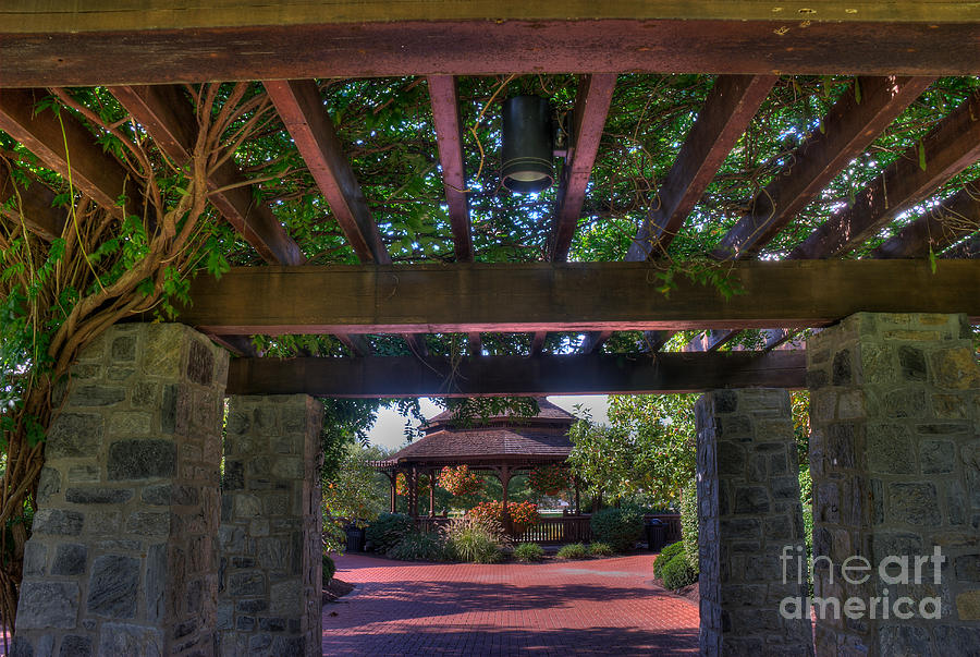 The Entrance to The Alumni Memorial Grove #1 Photograph by Mark Dodd