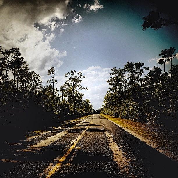 Nature Photograph - The Everglades - Fl #1 by Joel Lopez