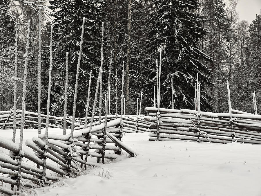 The Fence of Kovero #2 Photograph by Jouko Lehto