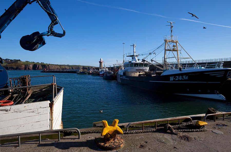 Pier Photograph - The Fishing Harbour, Dunmore East #1 by Panoramic Images
