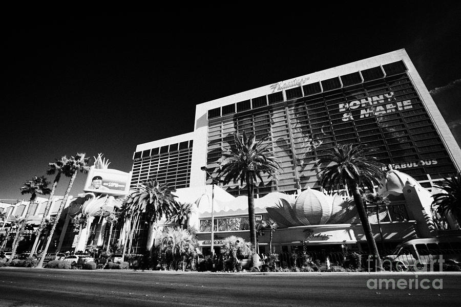 Flamingo Photograph - the flamingo hotel casino Las Vegas Nevada USA #1 by Joe Fox