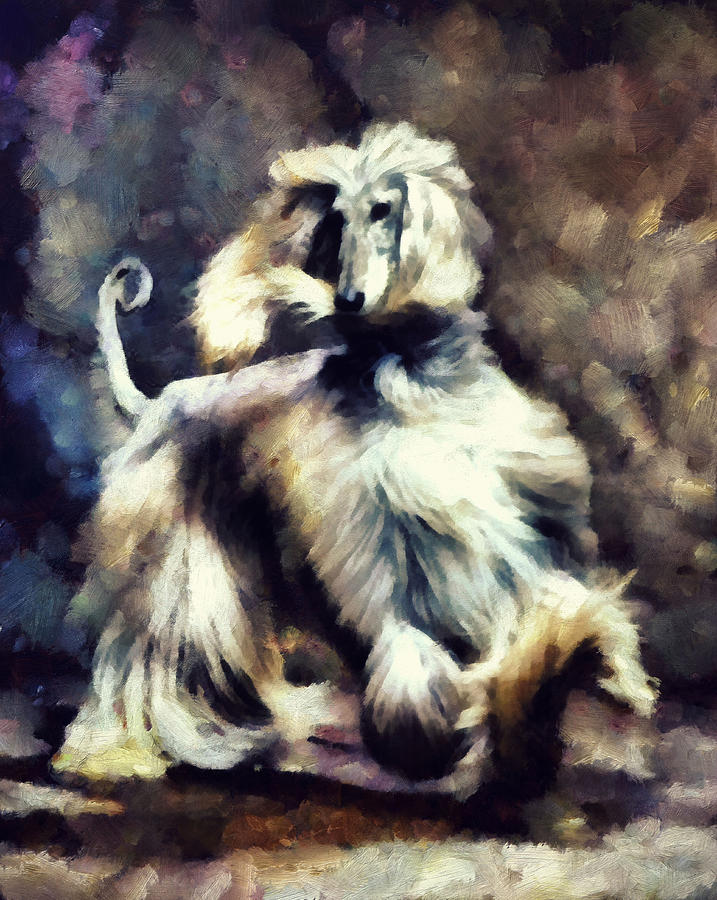 Afghan Hound Painting - The Flow by Janice MacLellan Afghan Hound Painting - The Flow by Janice MacLellan