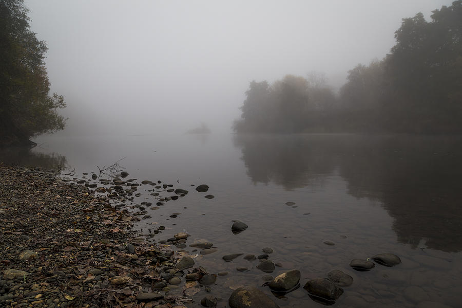 The Foggy American River #1 Photograph by Lee Harland