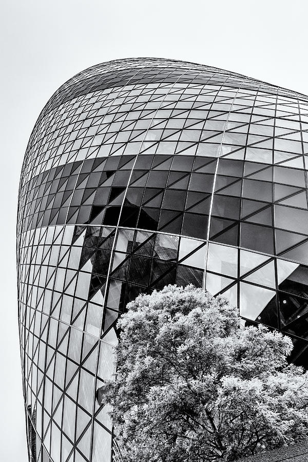 London Photograph - The Gherkin1 by Stuart Gennery