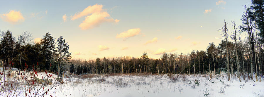 Winter Photograph - The Golden Hour - Berkshire Swamp #1 by Geoffrey Coelho