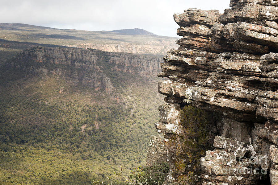 Nature Photograph - The Grampians Victoria #1 by THP Creative