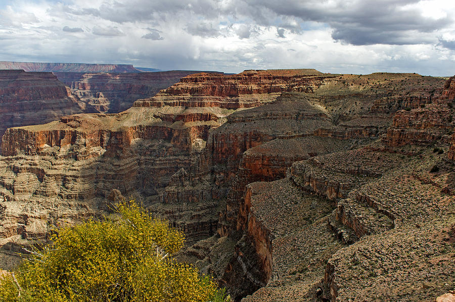 The Grand Canyon #1 Photograph by Willie Harper