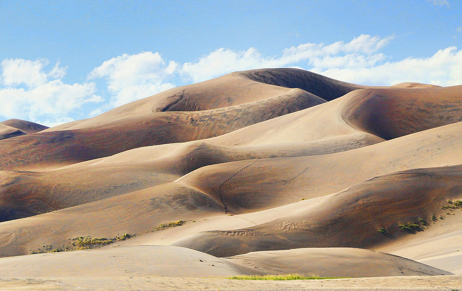 The Great Sand Dunes National Park 4 Photograph by Allen Beatty