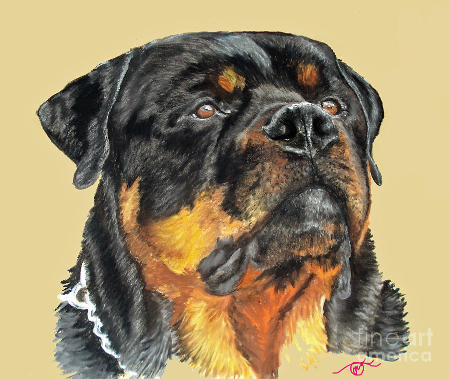 Rottweiler Pastel - The Guardian by Ann Marie Chaffin Rottweiler Pastel - The Guardian by Ann Marie Chaffin