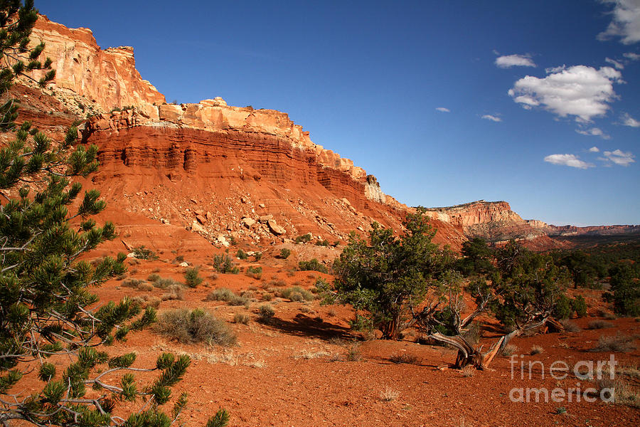 The High Desert Capitol Reef National Park #1 Photograph by Butch Lombardi