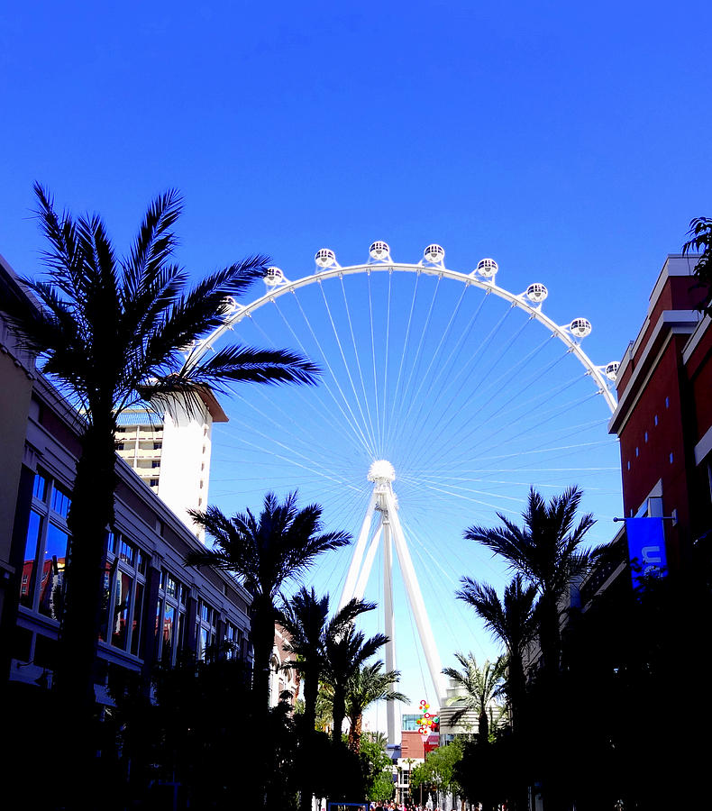 The High Roller #2 Photograph by Donna Spadola