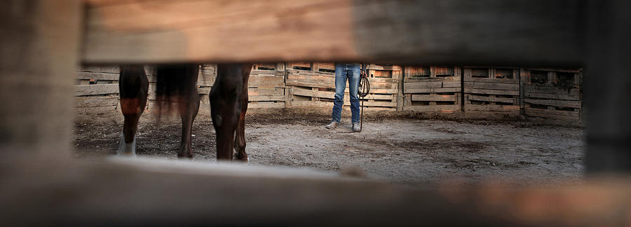 America Photograph - The Horseman #1 by Rainer Waelder
