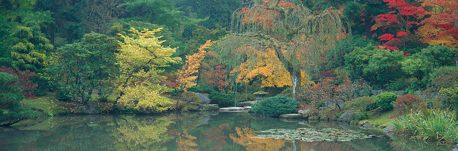 Seattle Photograph - The Japanese Garden Seattle Wa Usa #1 by Panoramic Images