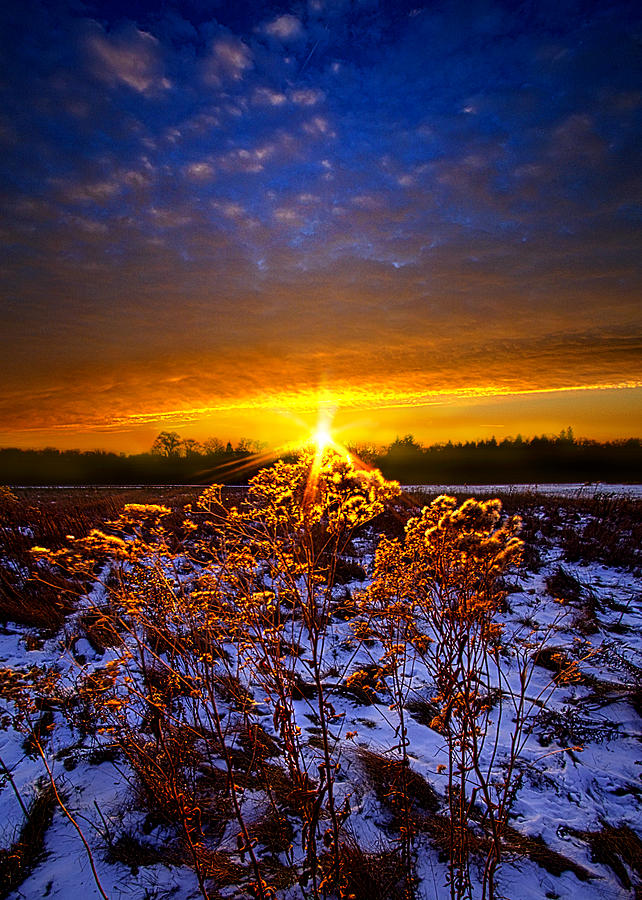 The Little Things #1 Photograph by Phil Koch