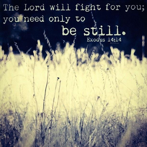 Repost Photograph - the Lord Will Fight For You; You Need #1 by Traci Beeson