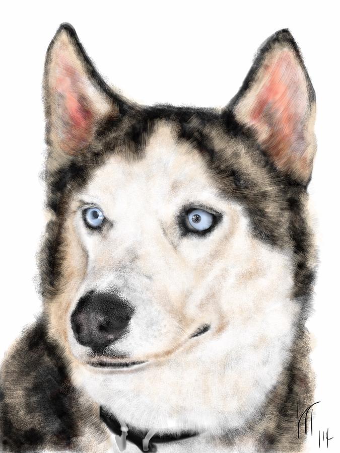 The Magnificent Husky #1 Painting by Lois Ivancin Tavaf