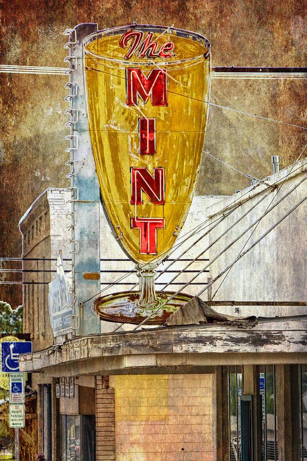 The Mint #1 Photograph by Randall Nyhof